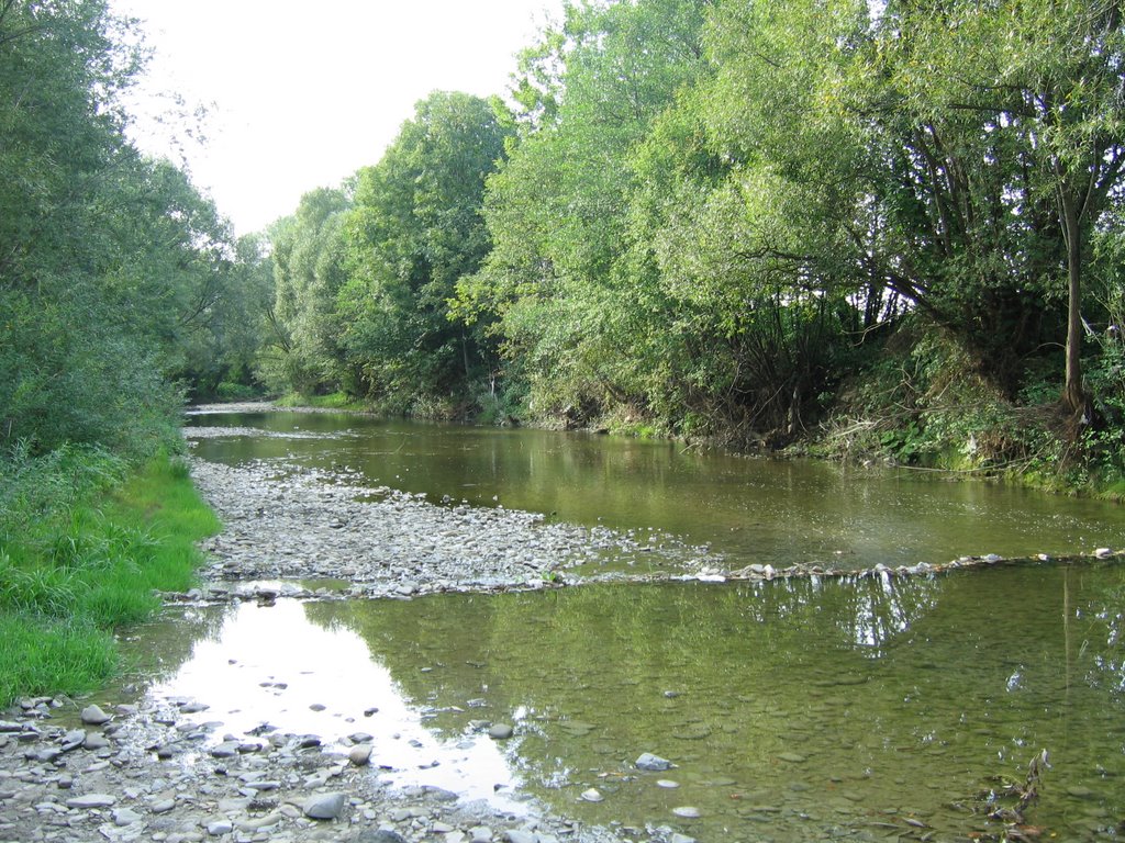 Sękówka
