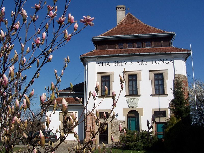 Gorlice - galeria sztuki