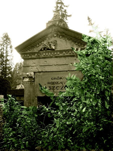 gorlice -stary cmentarz