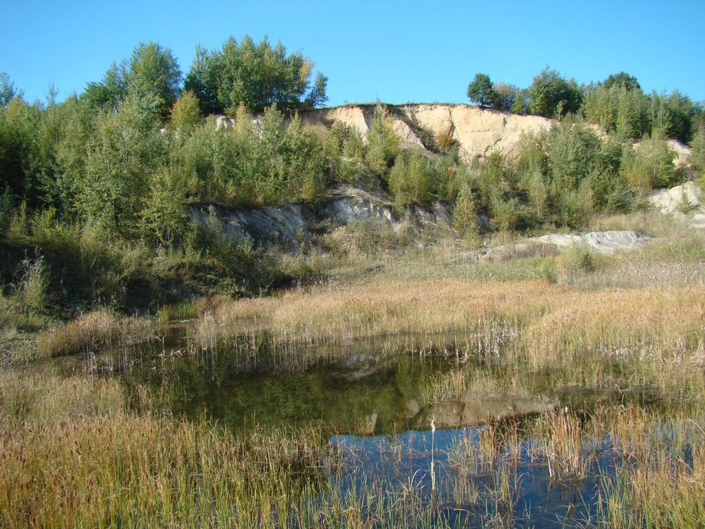 Wyrobisko