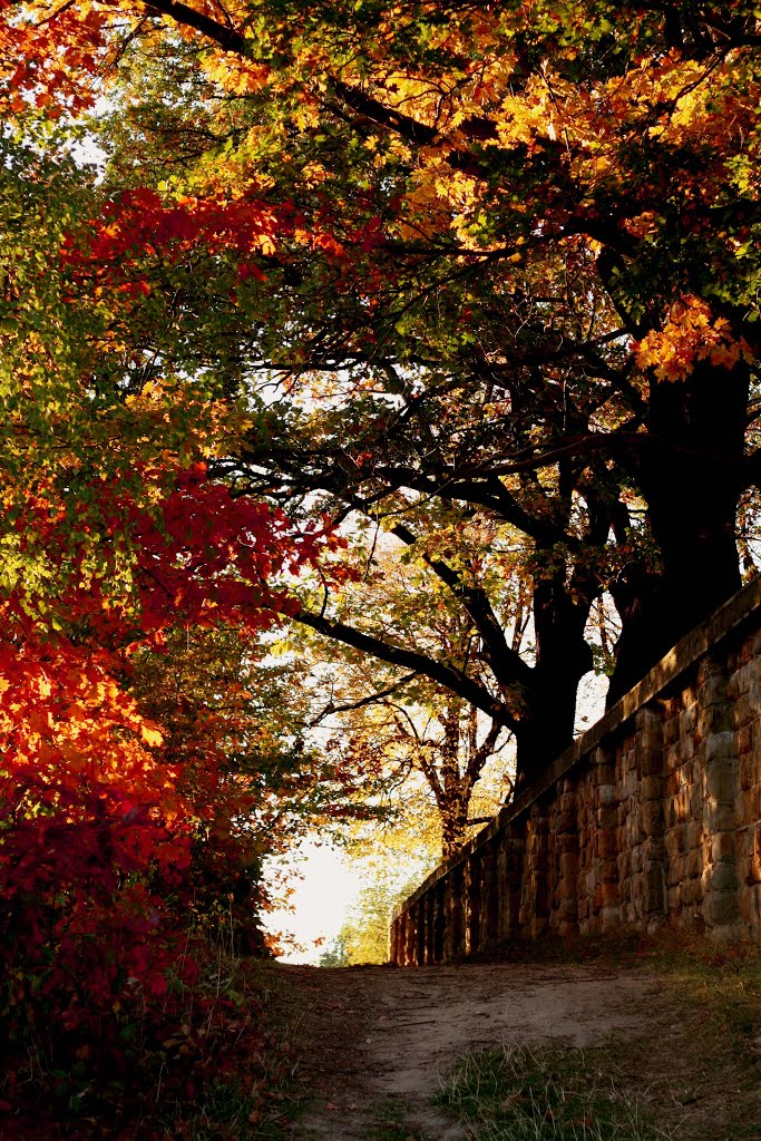 Autumn in Poland