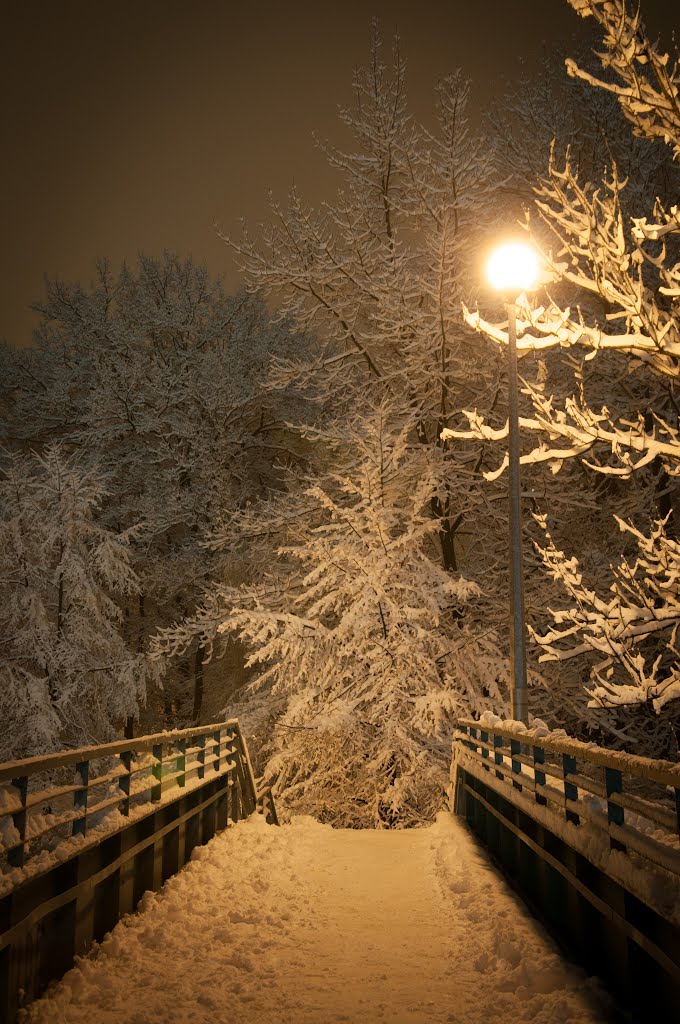 Gorlice - kładka w parku