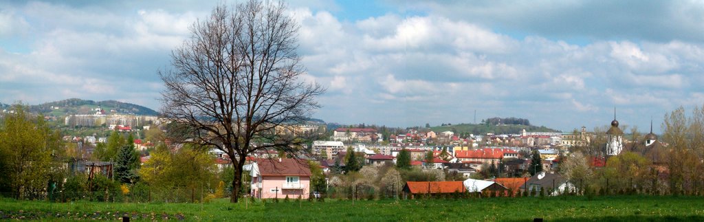 Panorama Gorlic z ul.Łokietka