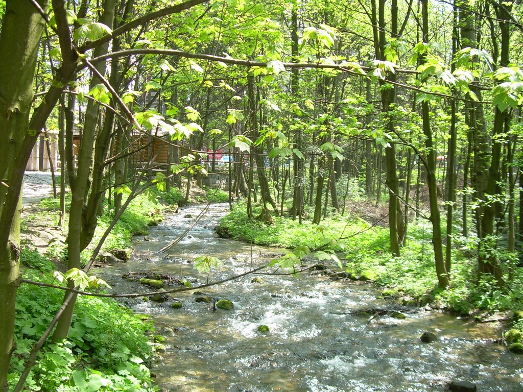 Zakopane. Tatrzański Park Narodowy.