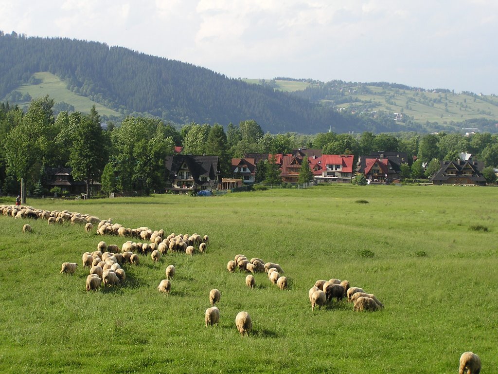 Widok z Drogi pod Reglami 06 2008