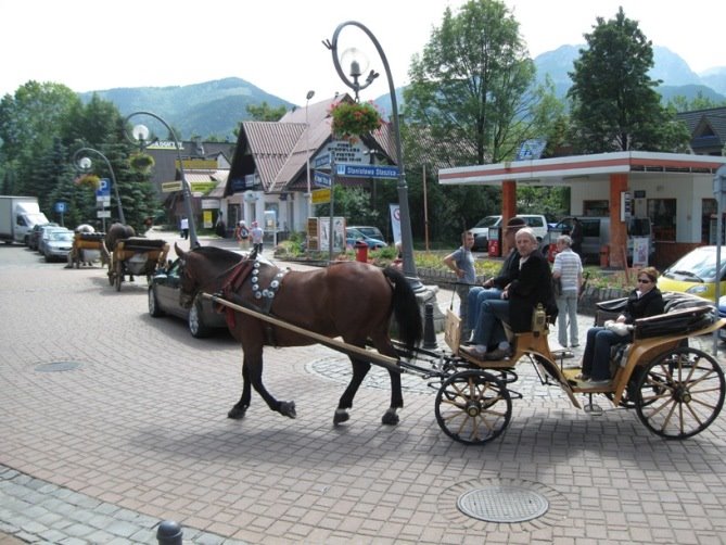 Zakopane - "taxi" na owies