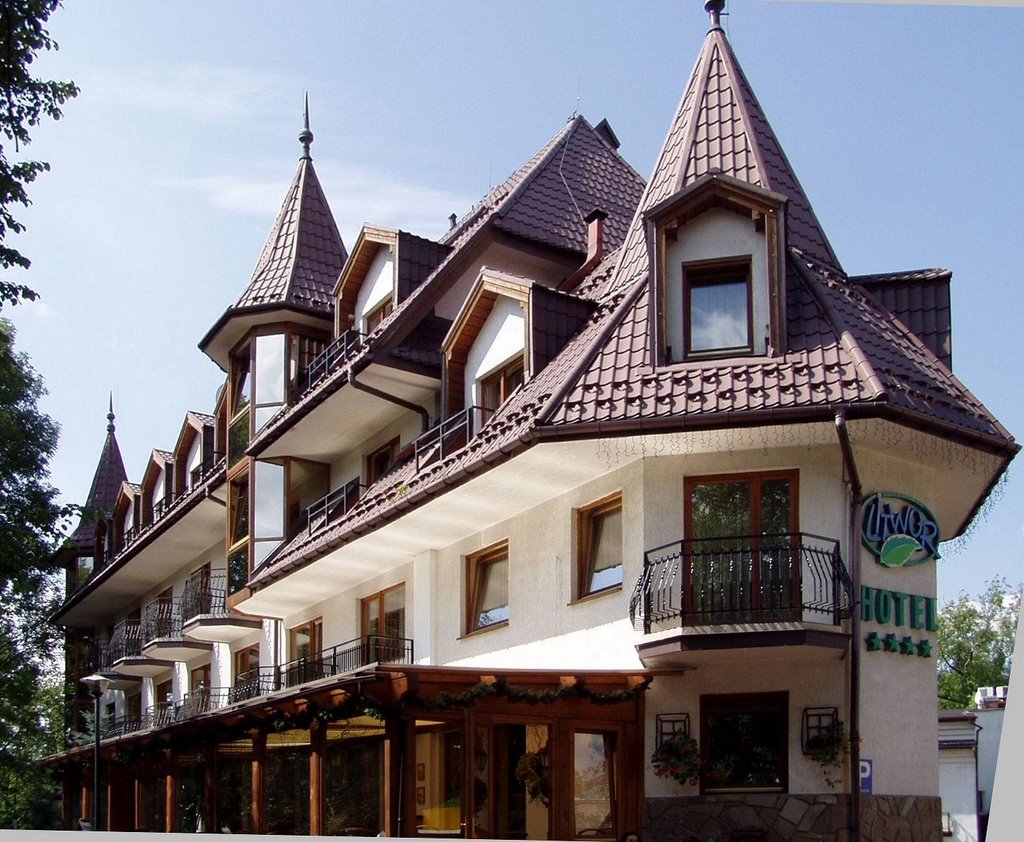 Hotel Litwor