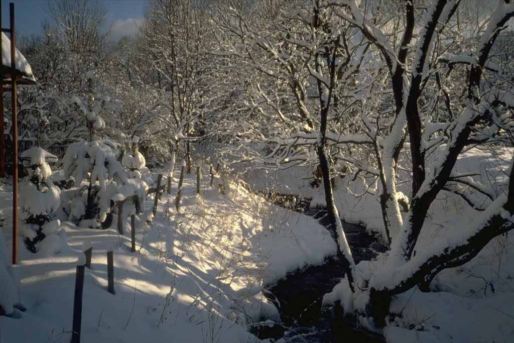 Poland, winter dream in Zakopane