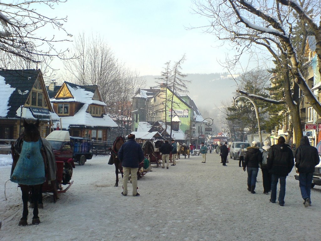 Zakopane XII 2007