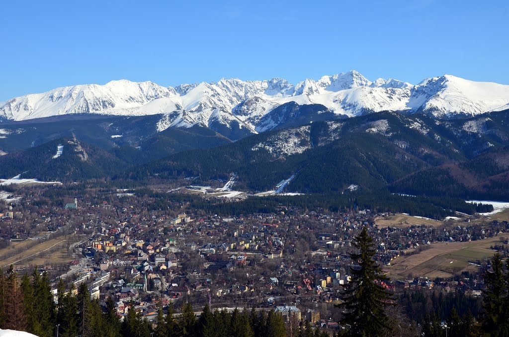 Zakopane i Tatry z Gubałówki