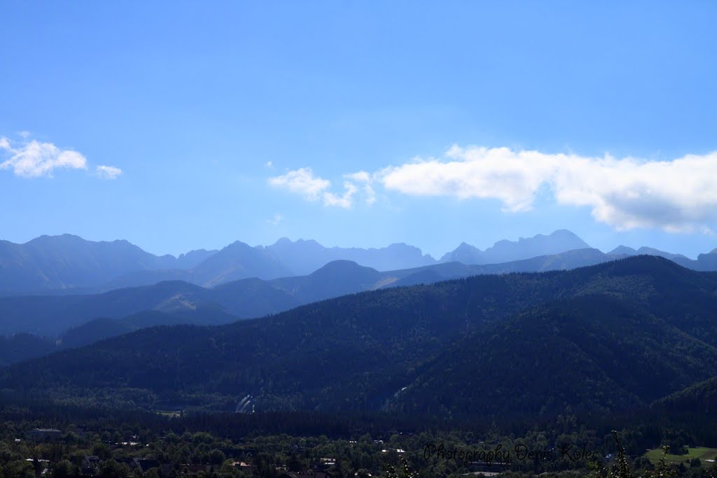 View