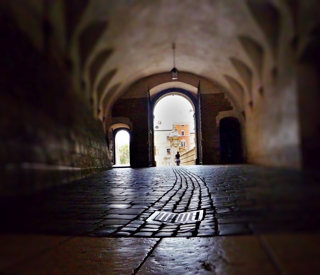 Paving blocks in Wawel