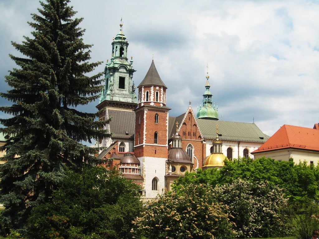 KRAKÓW - Katedra Wawelska