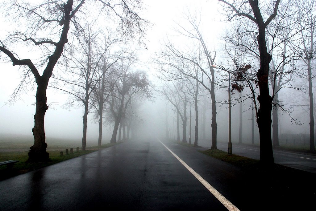 The foggy morning in Cracow