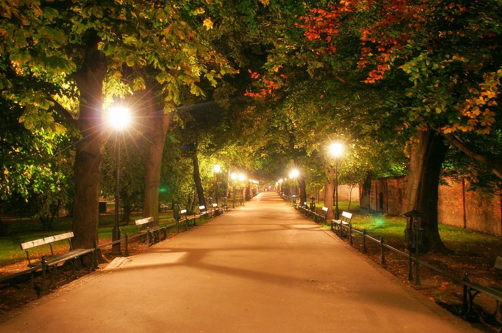  jesień, jesień  jak to tak    / Autumn Krakow /