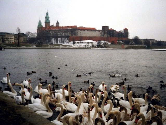Kraków - Zamek Królewski na Wawelu przez rzekę Wisłę (královský hrad Wawel za řekou Vislou; Wawel Royal Castle across the river Wisla), Poland