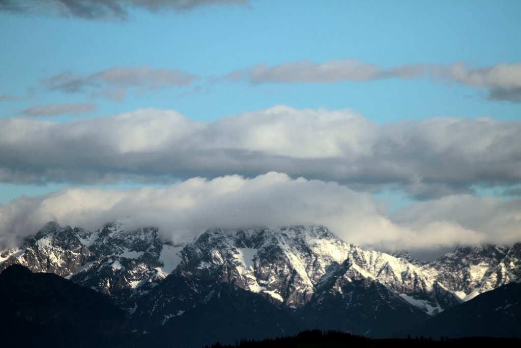 Tatry z okna