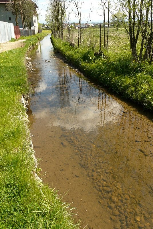 Strzeblowa struga
