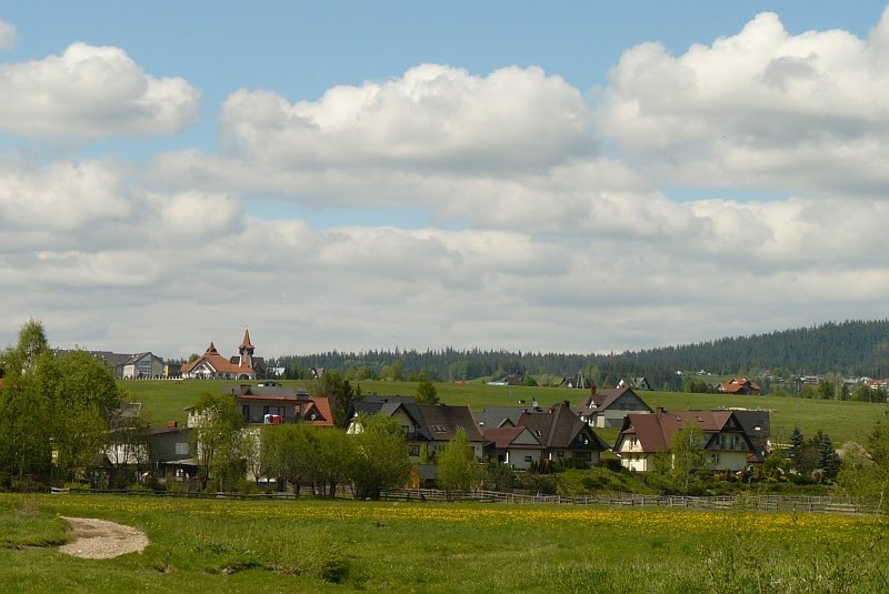 Niwa