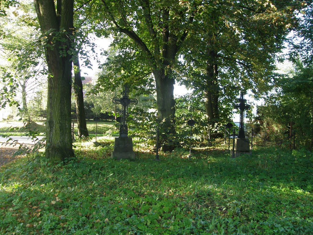 Łapanów
