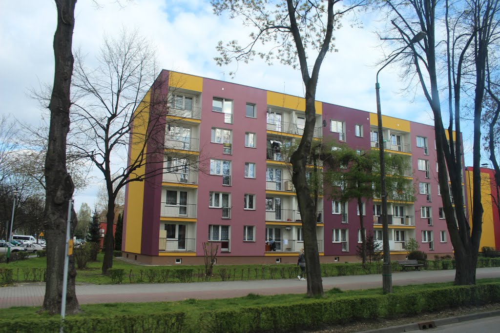Condominios en Oswiecim (Polonia)