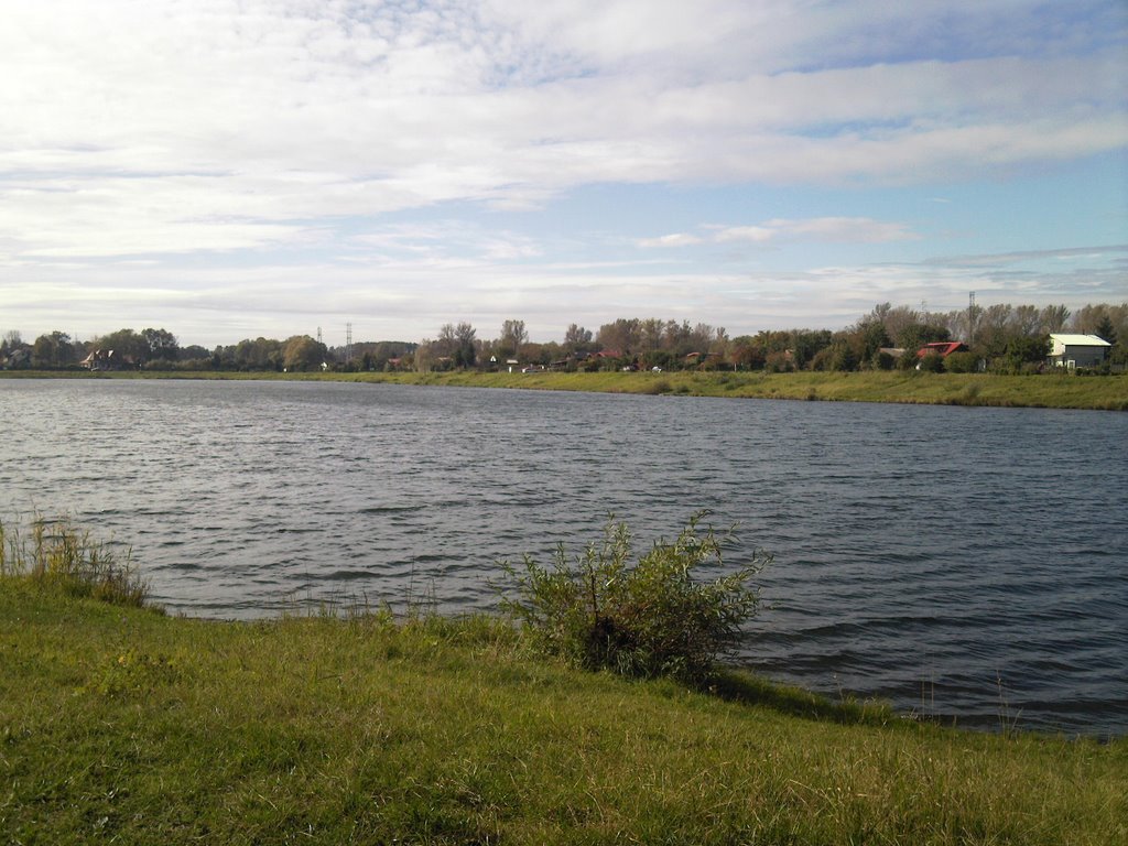 Kruki