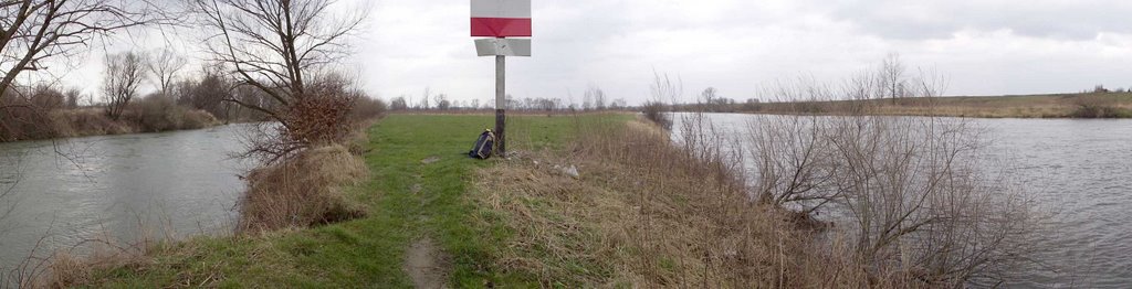 Ujście Soły do Wisły, widok z cypla w kierunku zachodnim