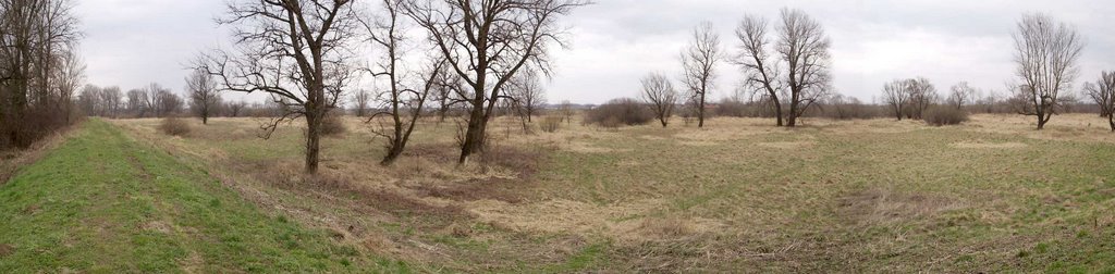 Ujście Soły do Wisły, widok z wałów przeciwpowodziowych