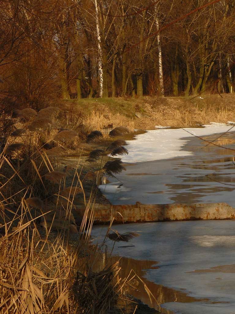 Jezioro Kruki