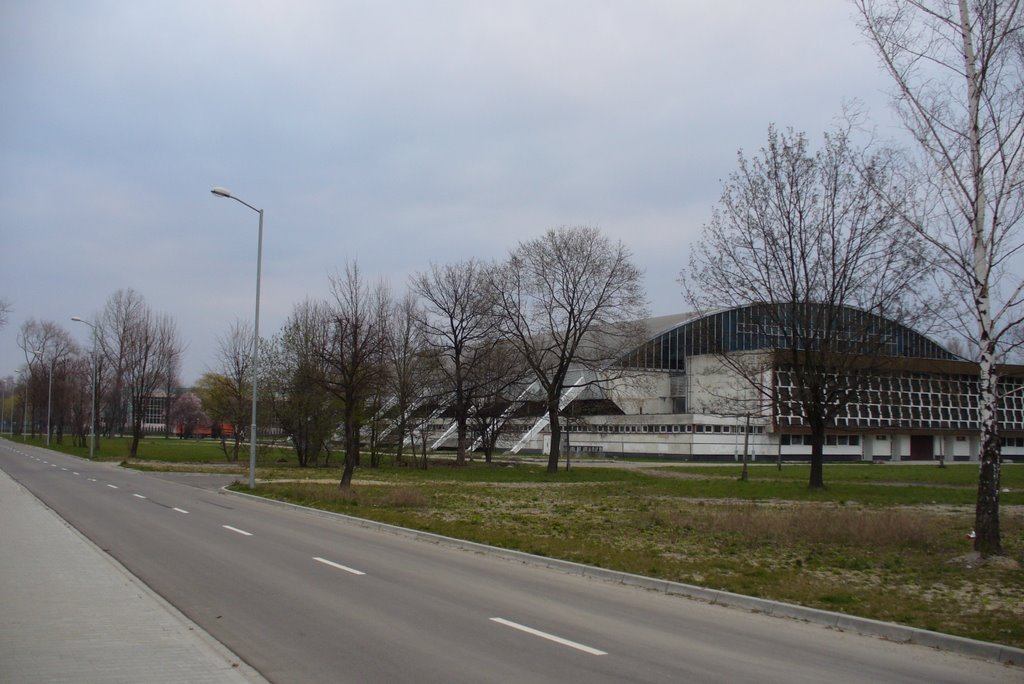 Sala de deporte - de hielo