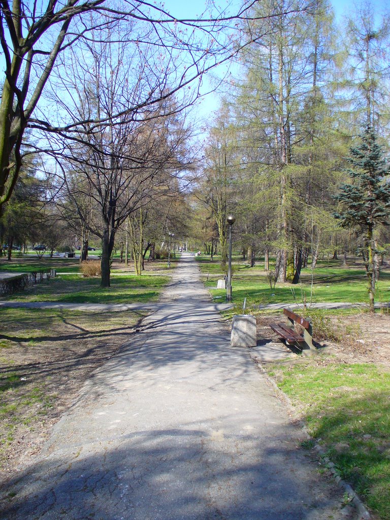 El parque 1