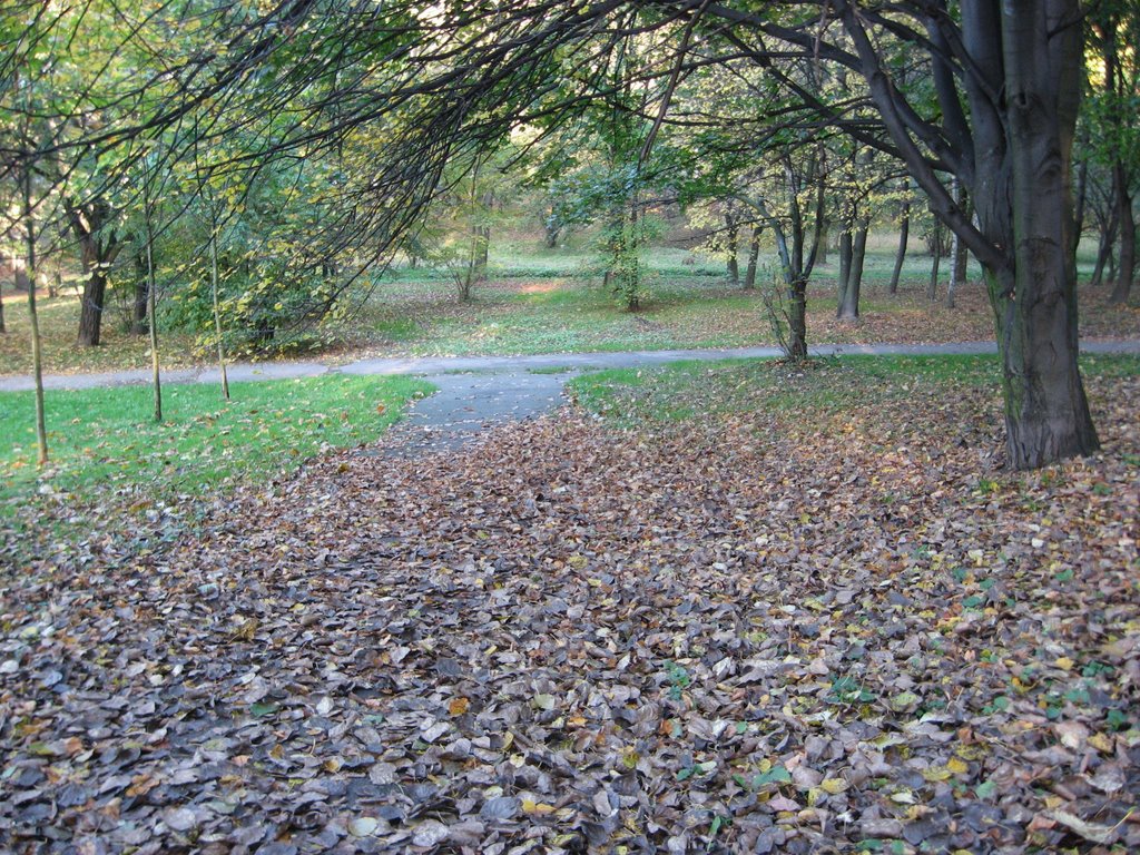 Oświęcim ul.Staszica park jesienią