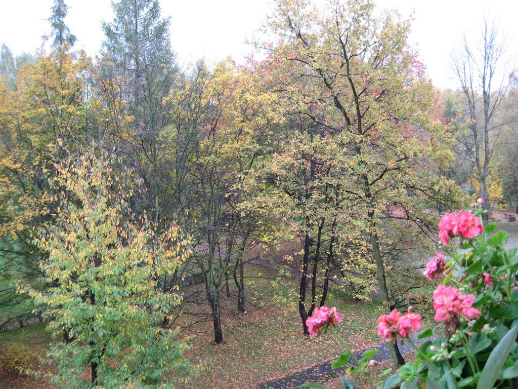 Oświęcim ul.Staszica park jesienią widok z balkonu