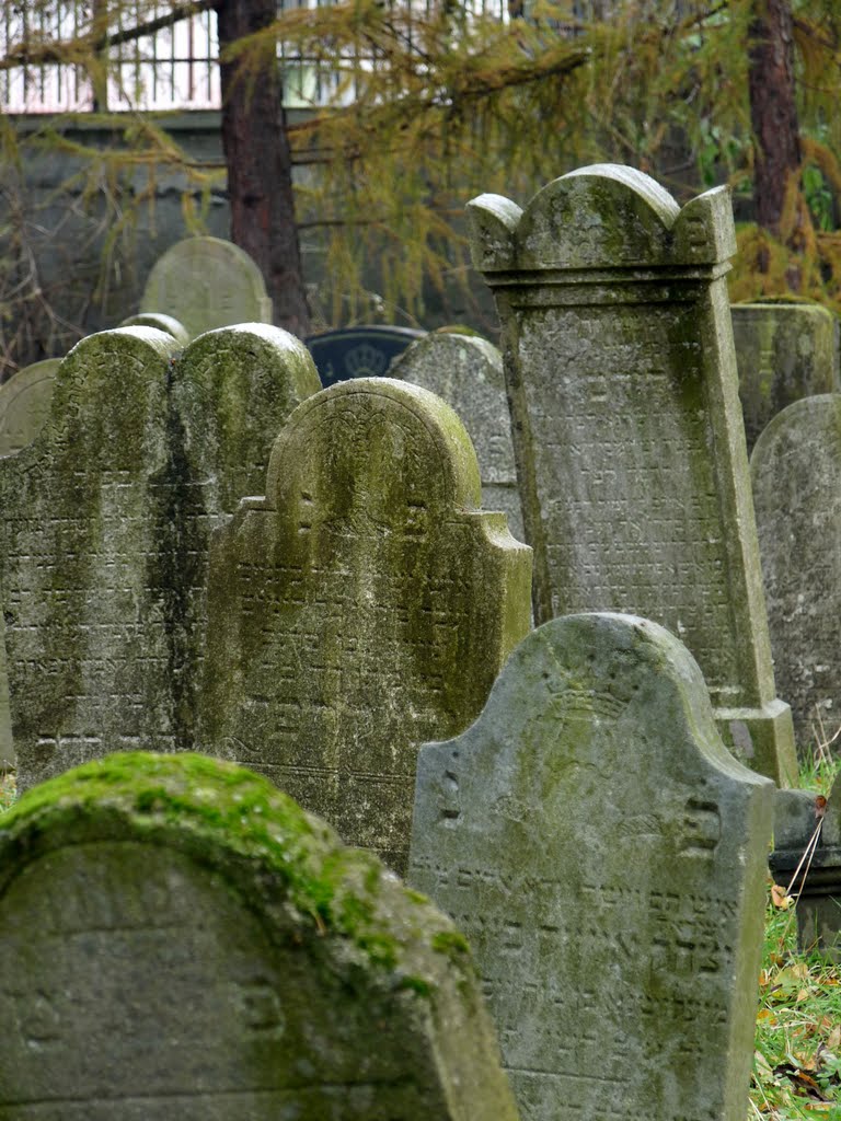 Jewish cemetary, Oswiecim