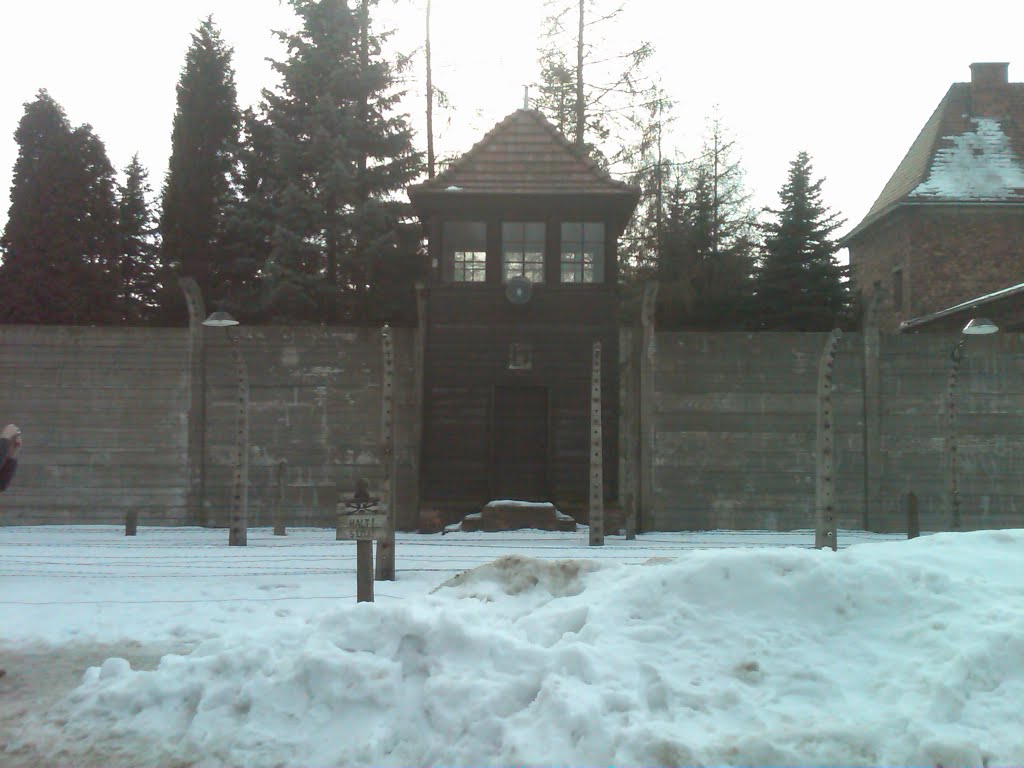 Auswitz