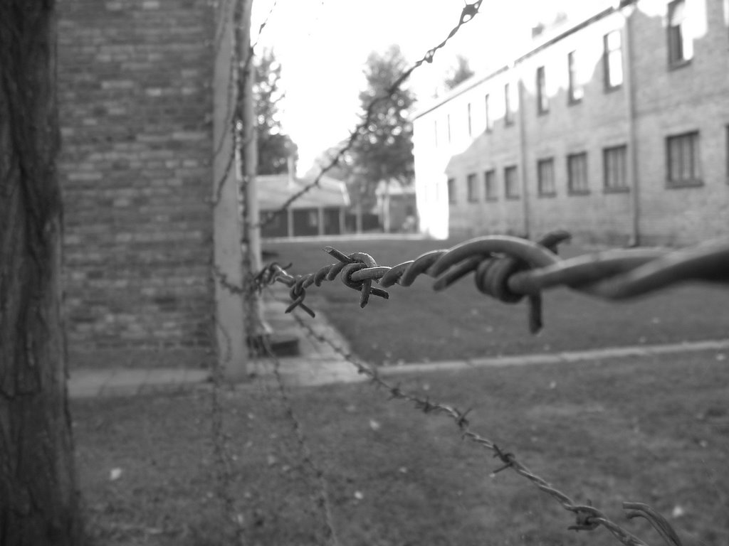 auschwitz camp