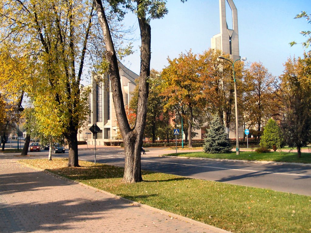 Kościół Św Maksymiliana