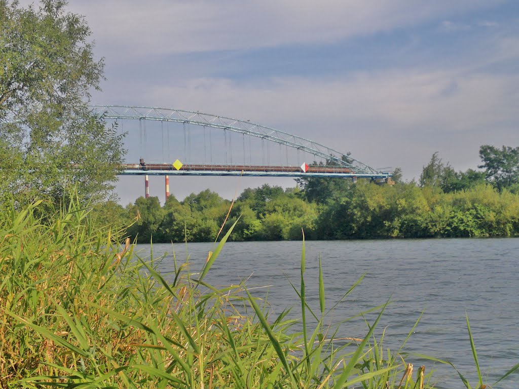 rzeka wisła