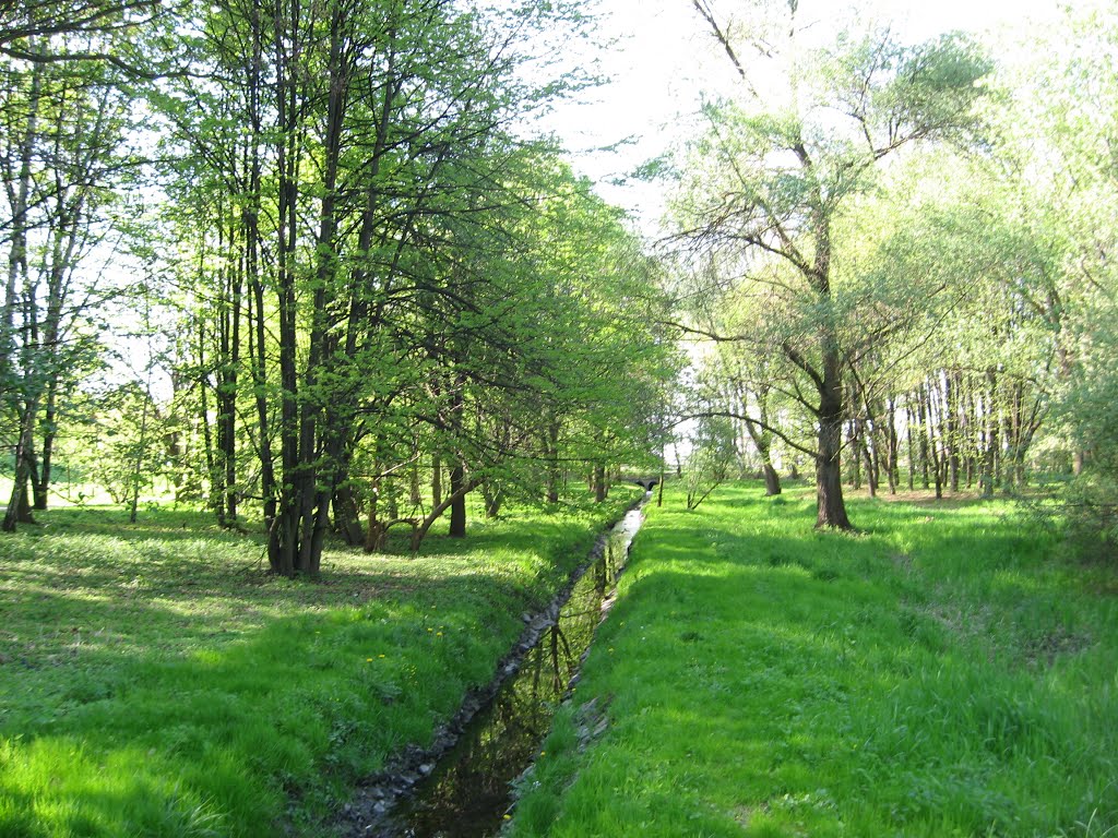 Oświęcim - Staszica park