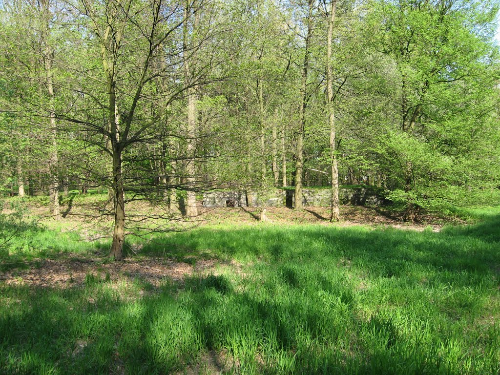 Oświęcim - Staszica park