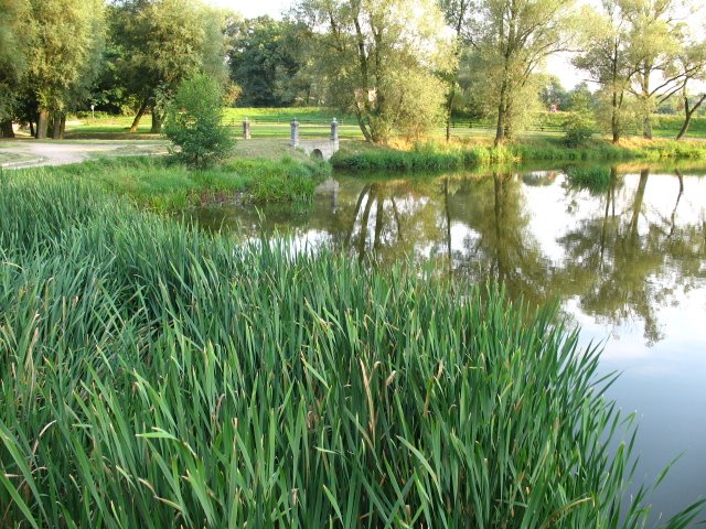 park