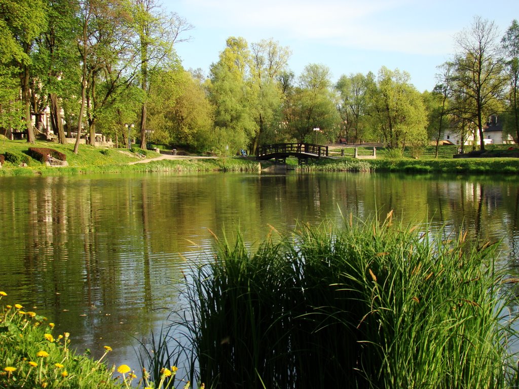 Park w Skawinie