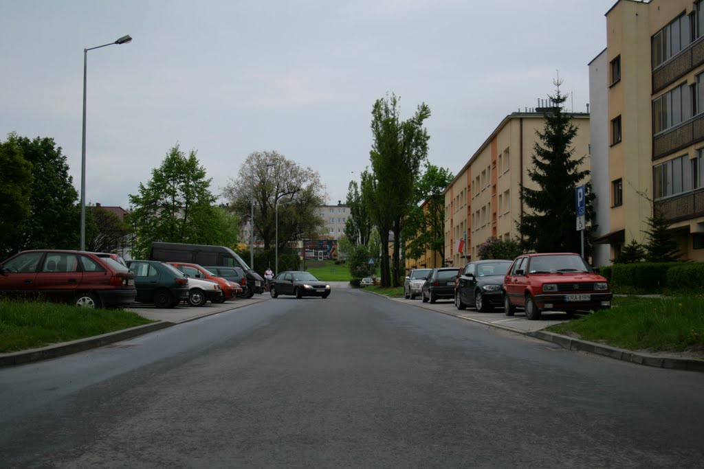 Konstytucji