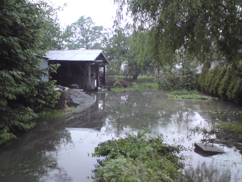 Zalane ogrody w pobliżu rzeki Skawinka (ul. Tyniecka, maj, 2010)