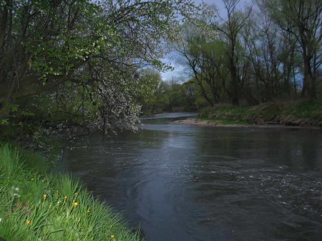rzeka Skawinka