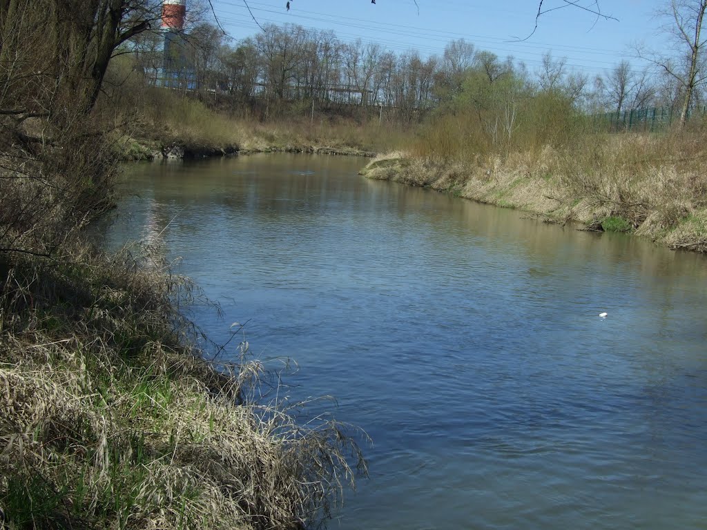 SkawinkaIV2012