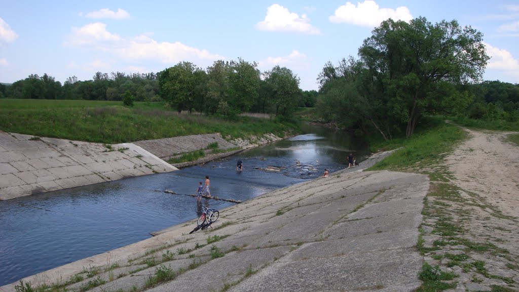 Rzeka Skawinka w Skawinie