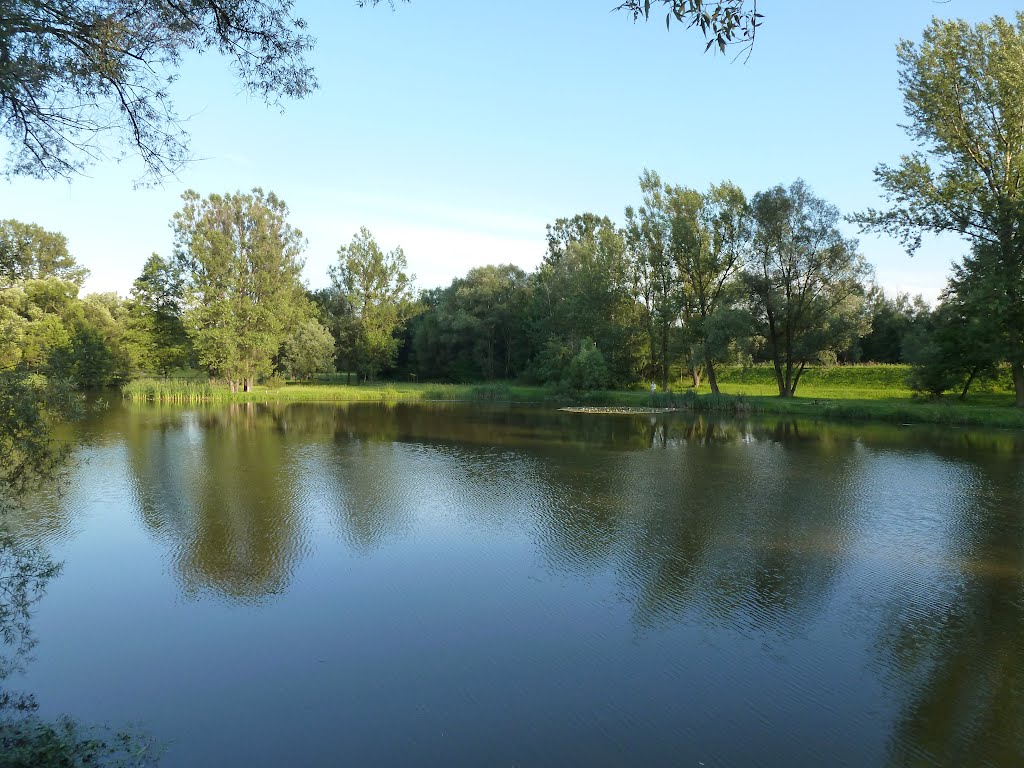 Lake in Skawina