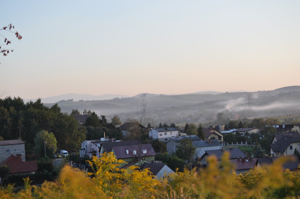 WIDOK NA RADZISZÓW