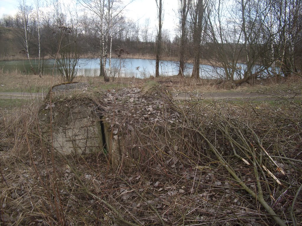 Staw w Skawinie